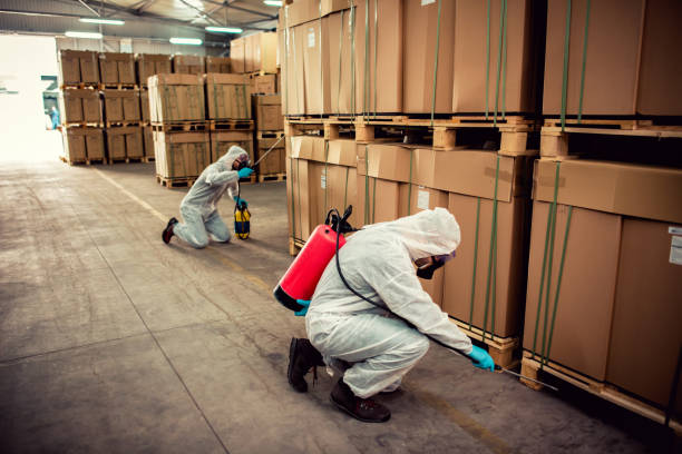 Reliable Bellaire, TX Pest Control Solutions