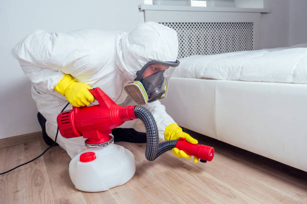 Best Pest Control for Businesses  in Bellaire, TX