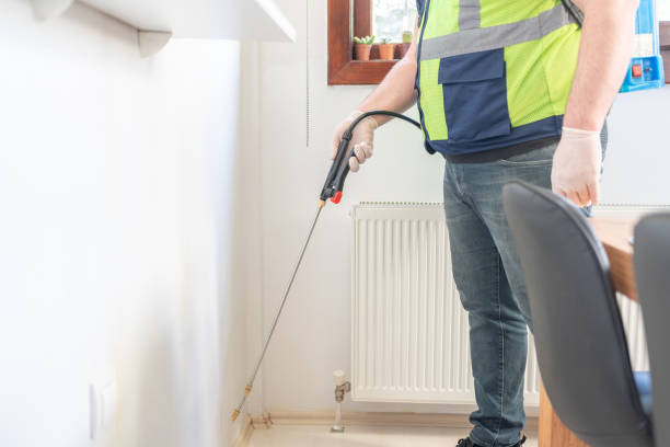 Best Cockroach Control Services  in Bellaire, TX